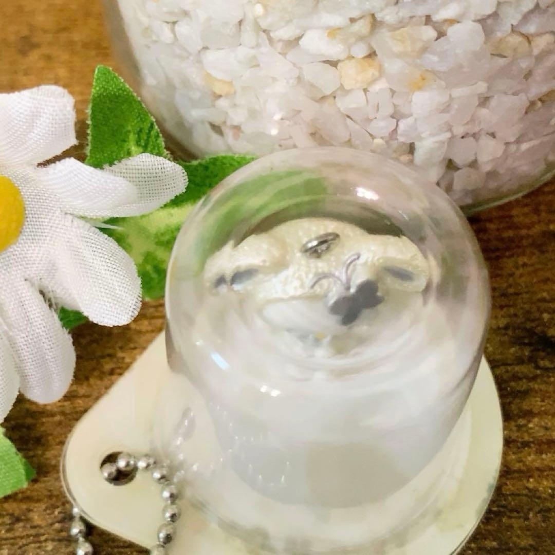 バ*ー様 【激レア】ハローキティ　うさぎコスチューム　マスコット　ポーションカッ