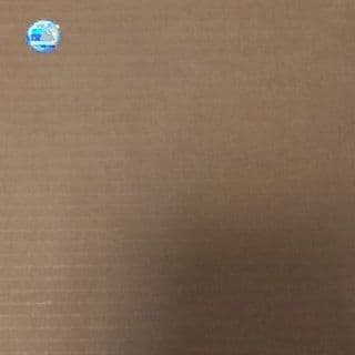 城島健司マリナーズ