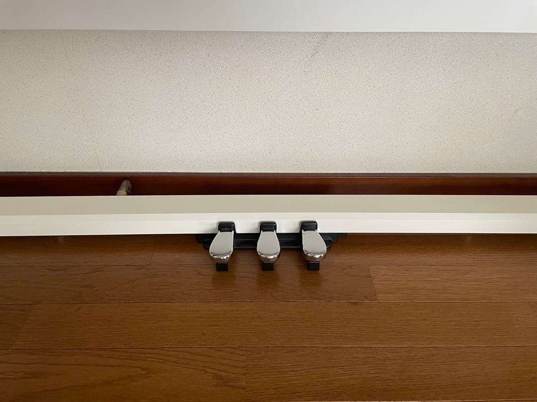 CASIO カシオ　PriviA　PX770WE