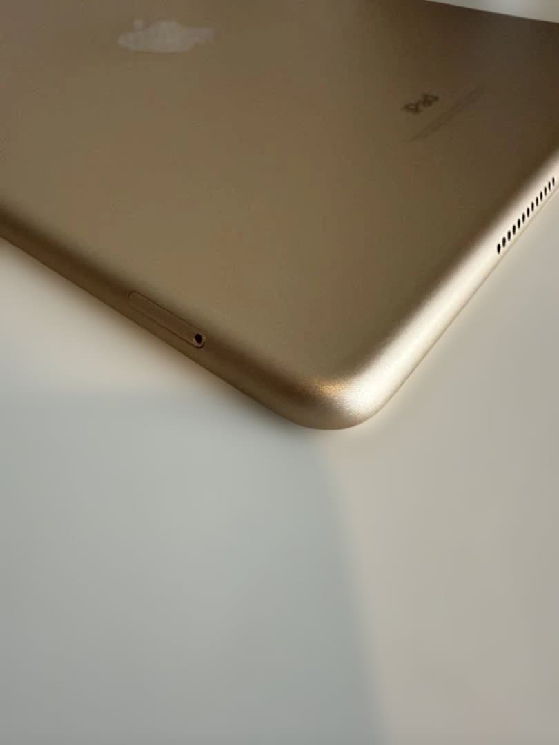 iPad 第5世代 32GB Cellular SIMフリー 美品
