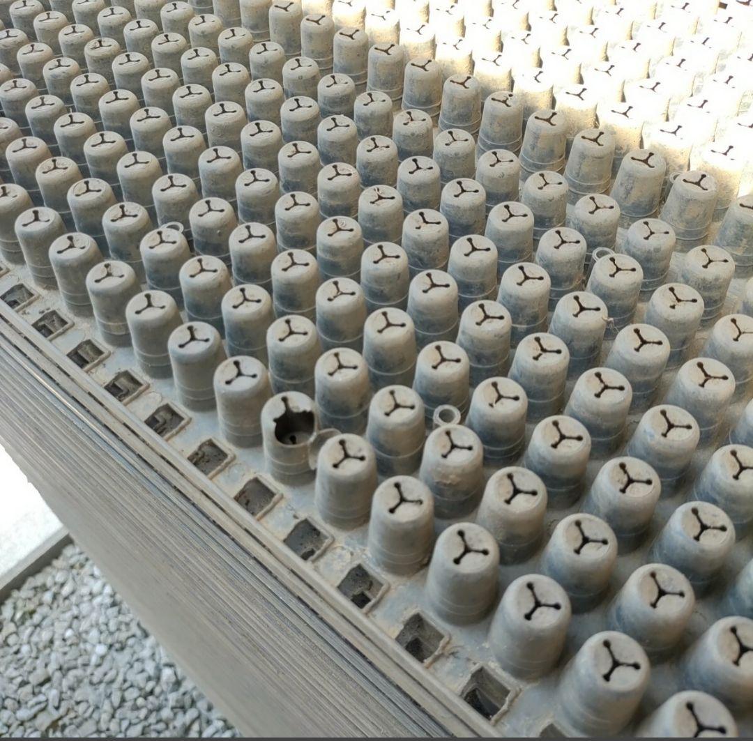 62枚 Ｂ品　みのるポット448穴 手植えの方に