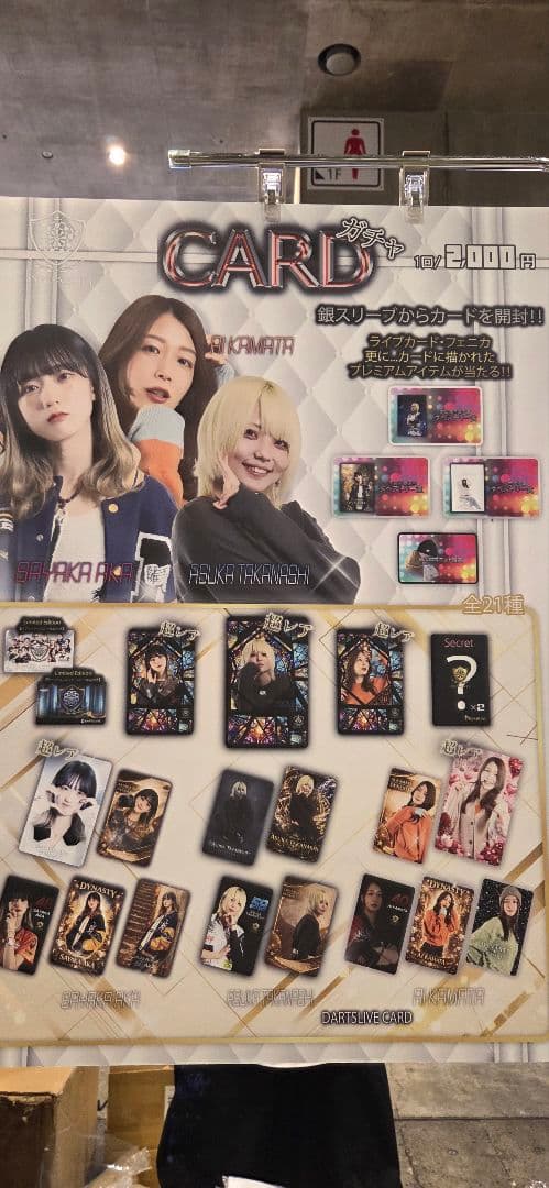 阿嘉紗香　フェニカ　ダーツ　ダイナスティ　dynasty ダーツライブ