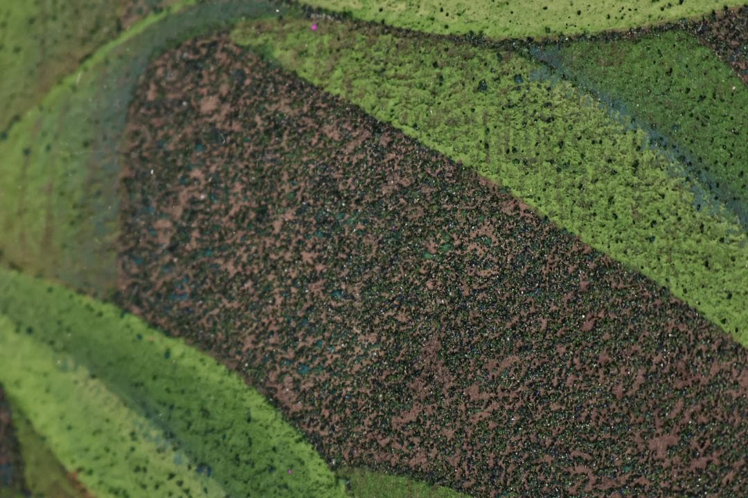 池内璋美 「 蘭花 」　10号　岩彩画　共シール　タトウ　黄袋　BK60