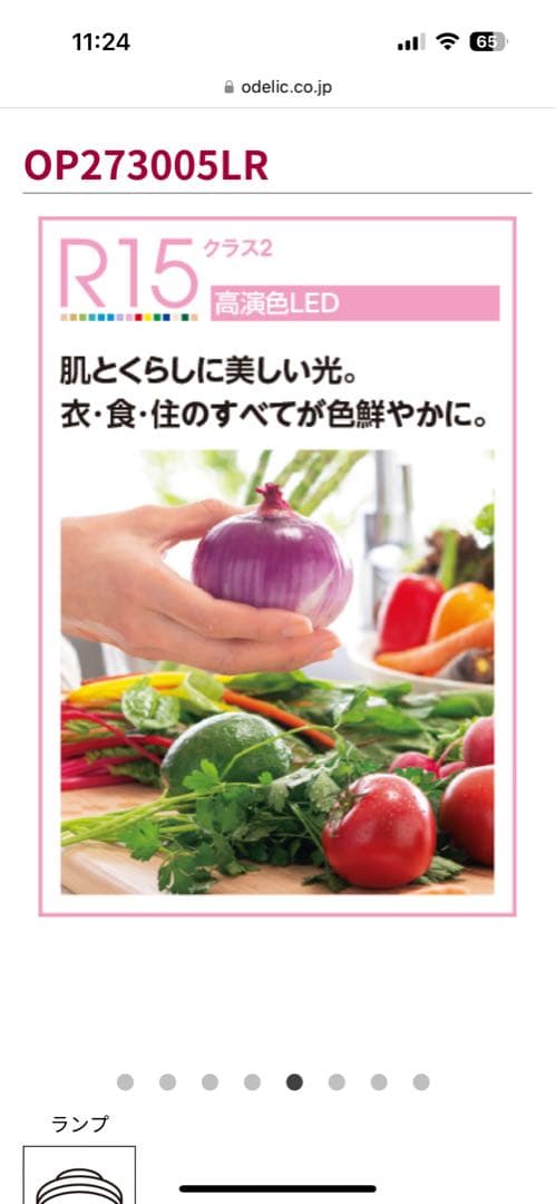 オーデリック ペンダントライト ODELIC OP273005LR