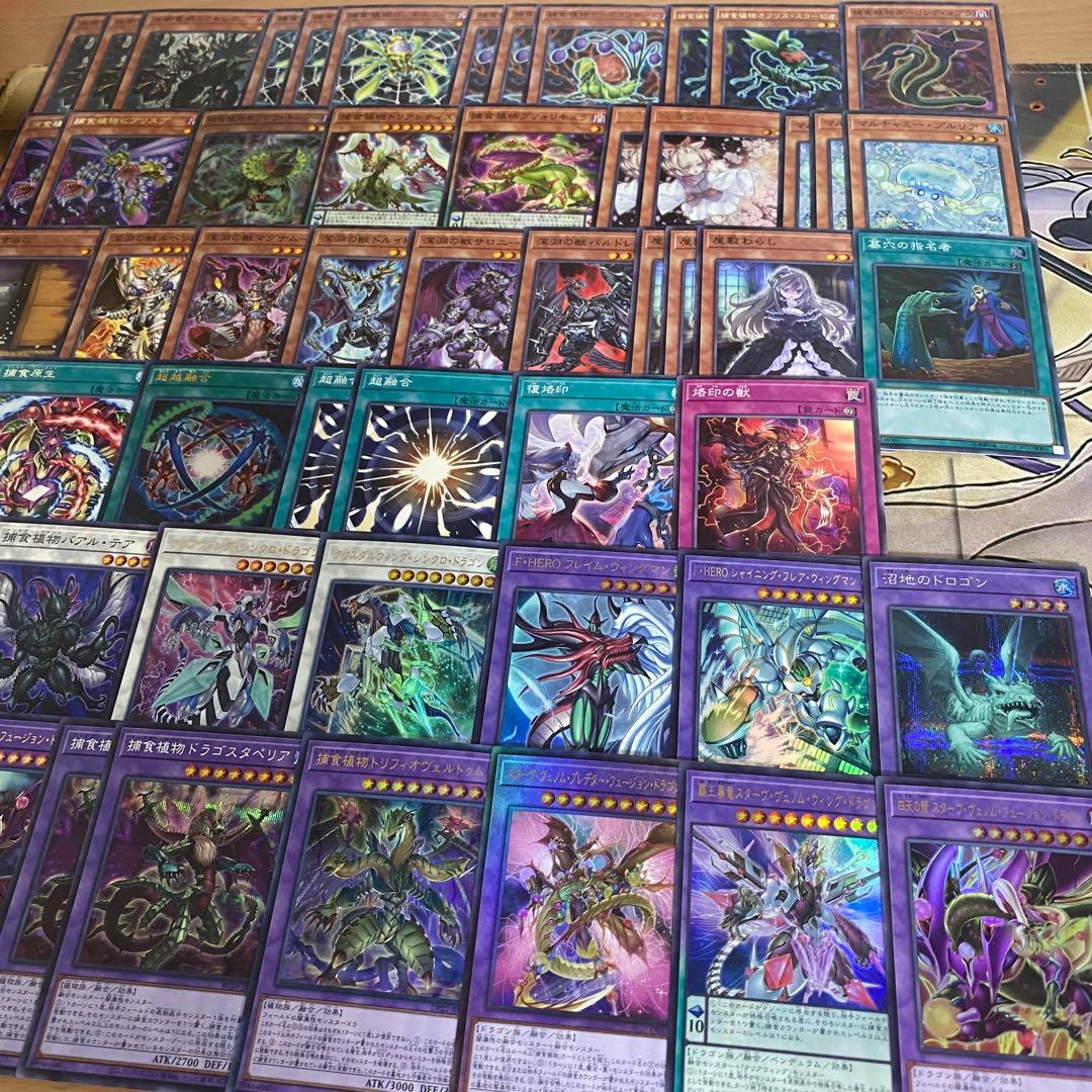 本格構築 捕食植物 デッキ 四天の龍スターヴヴェノムフュージョンドラゴン 超融合