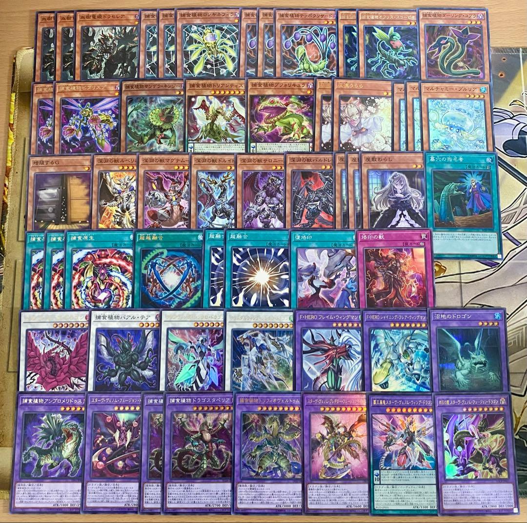 本格構築 捕食植物 デッキ 四天の龍スターヴヴェノムフュージョンドラゴン 超融合