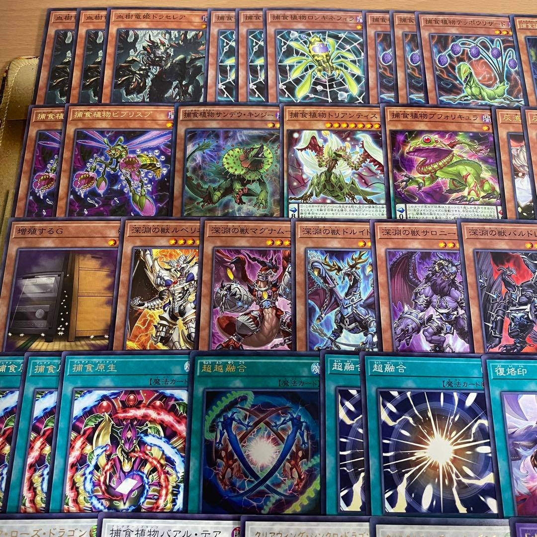 本格構築 捕食植物 デッキ 四天の龍スターヴヴェノムフュージョンドラゴン 超融合