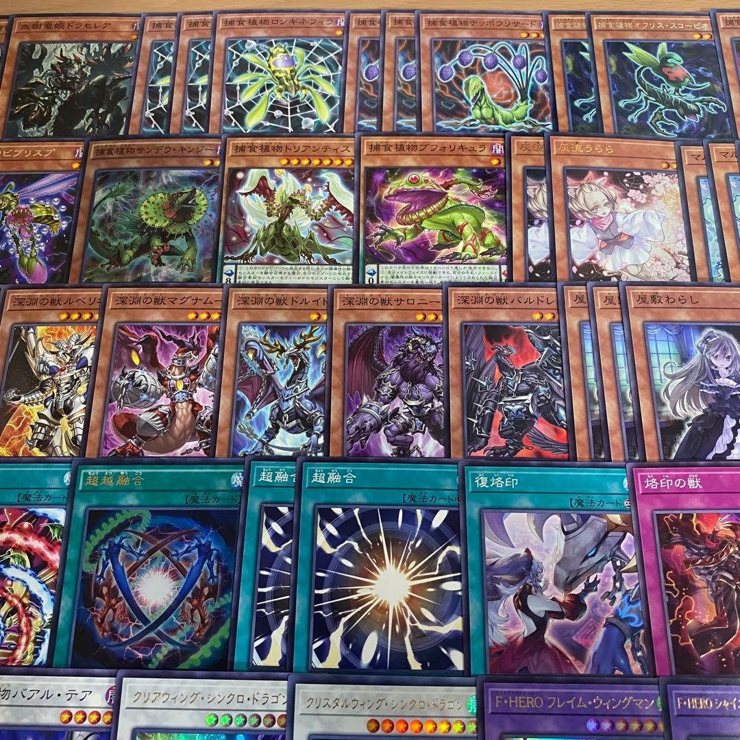 本格構築 捕食植物 デッキ 四天の龍スターヴヴェノムフュージョンドラゴン 超融合