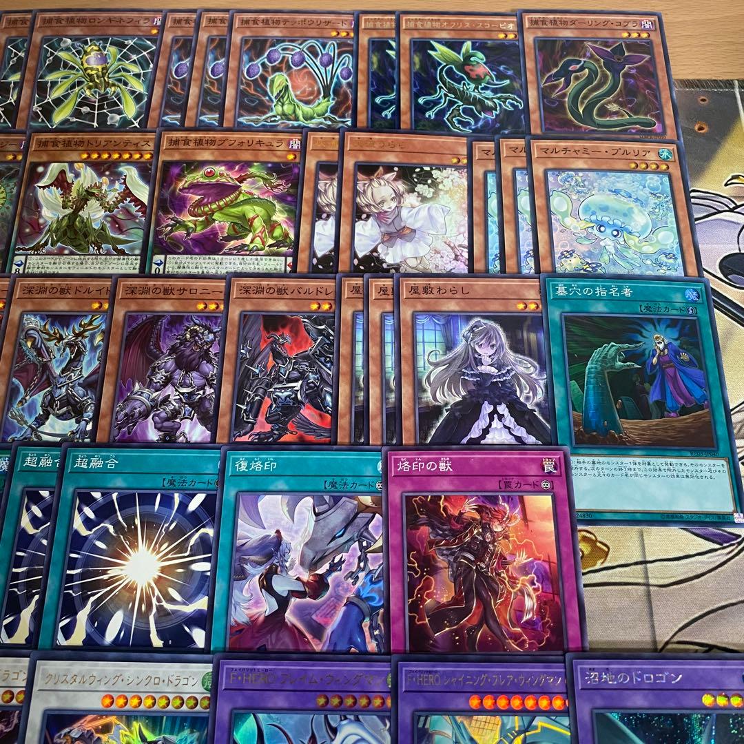 本格構築 捕食植物 デッキ 四天の龍スターヴヴェノムフュージョンドラゴン 超融合