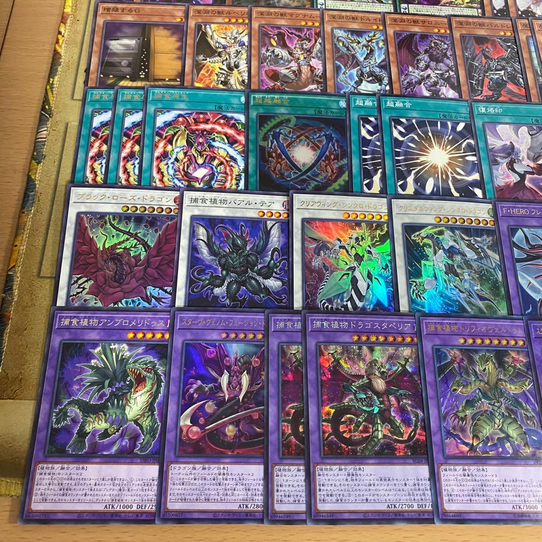 本格構築 捕食植物 デッキ 四天の龍スターヴヴェノムフュージョンドラゴン 超融合