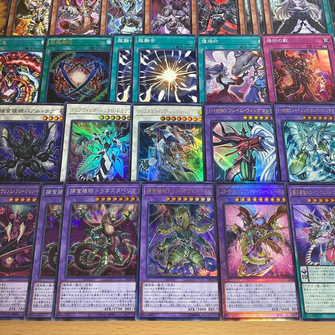 本格構築 捕食植物 デッキ 四天の龍スターヴヴェノムフュージョンドラゴン 超融合