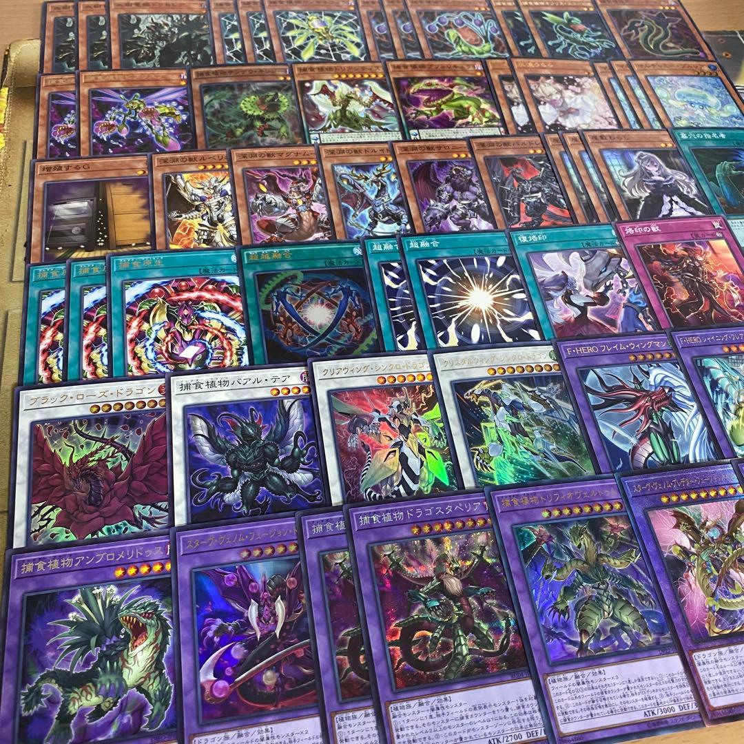 本格構築 捕食植物 デッキ 四天の龍スターヴヴェノムフュージョンドラゴン 超融合
