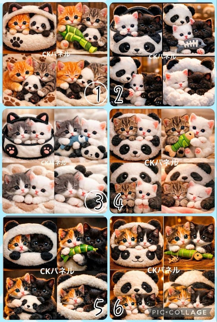 【３月】チロスケ