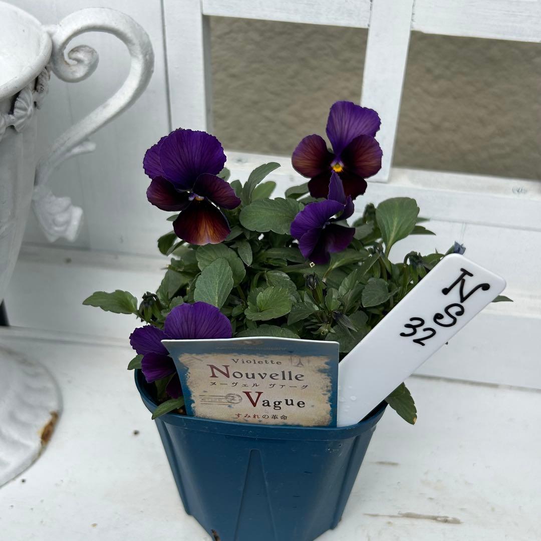 ◆◆Mieさま　ＮＳ３２♥ヌーヴェルヴァーグ　すみれの革命♥合計6ポット