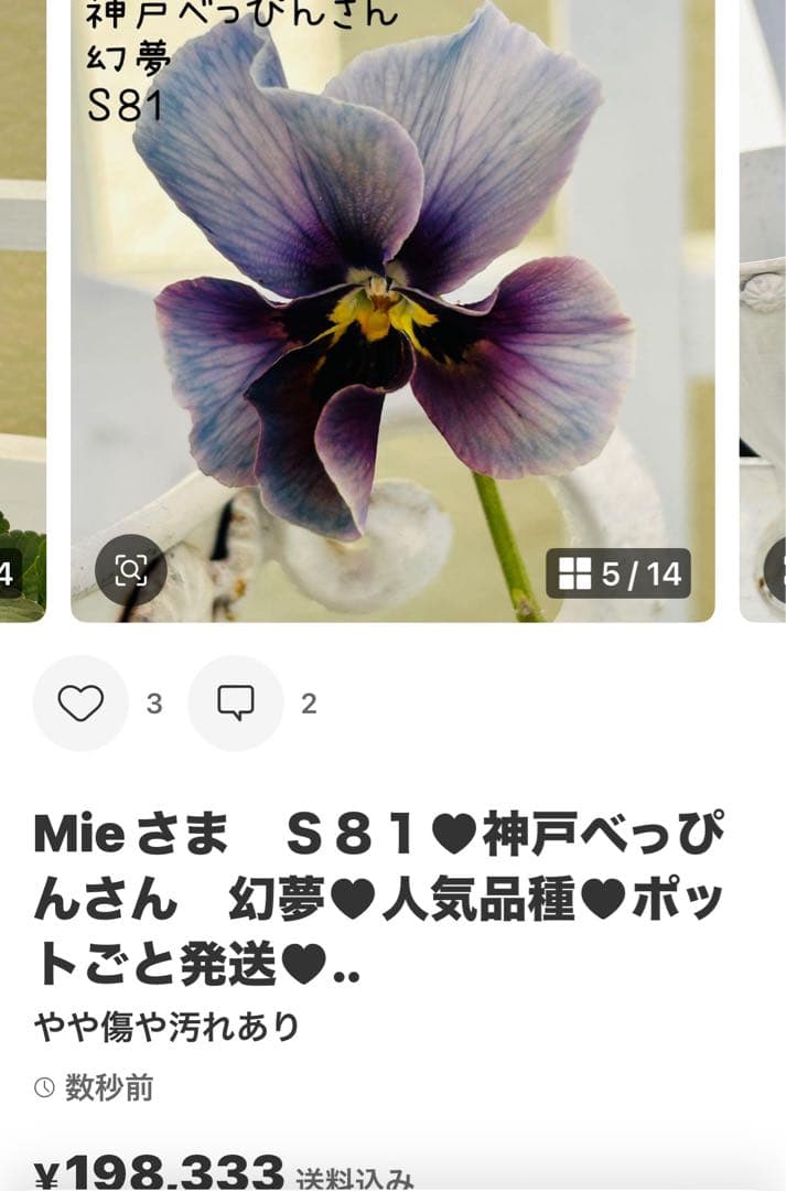 ◆◆Mieさま　ＮＳ３２♥ヌーヴェルヴァーグ　すみれの革命♥合計6ポット