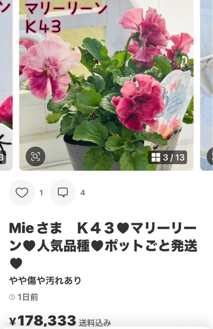 ◆◆Mieさま　ＮＳ３２♥ヌーヴェルヴァーグ　すみれの革命♥合計6ポット