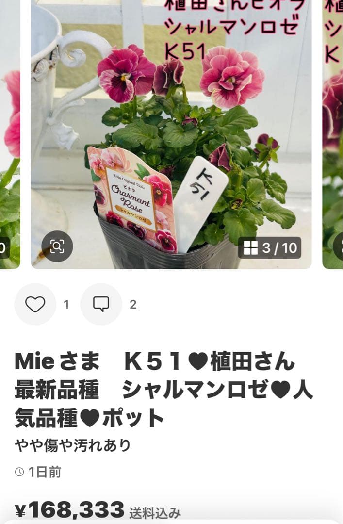 ◆◆Mieさま　ＮＳ３２♥ヌーヴェルヴァーグ　すみれの革命♥合計6ポット