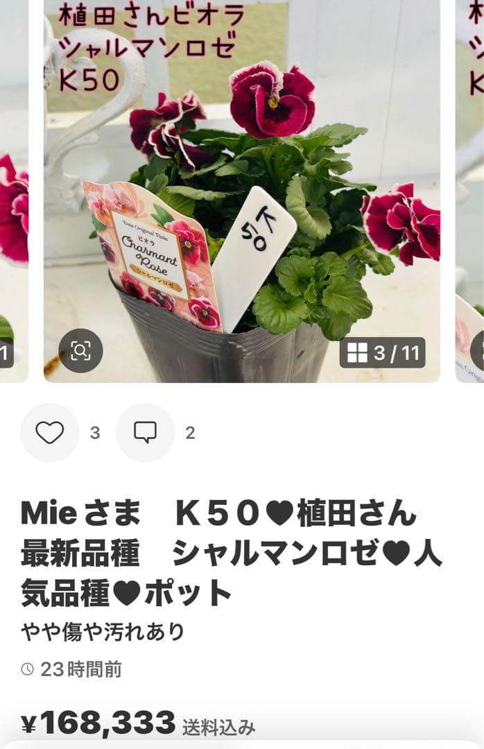 ◆◆Mieさま　ＮＳ３２♥ヌーヴェルヴァーグ　すみれの革命♥合計6ポット