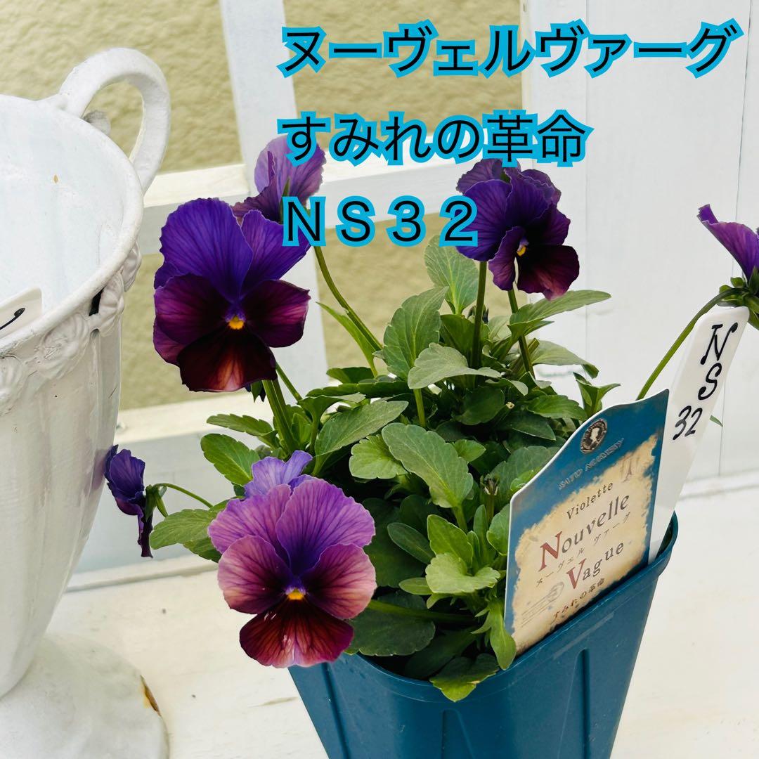 ◆◆Mieさま　ＮＳ３２♥ヌーヴェルヴァーグ　すみれの革命♥合計6ポット