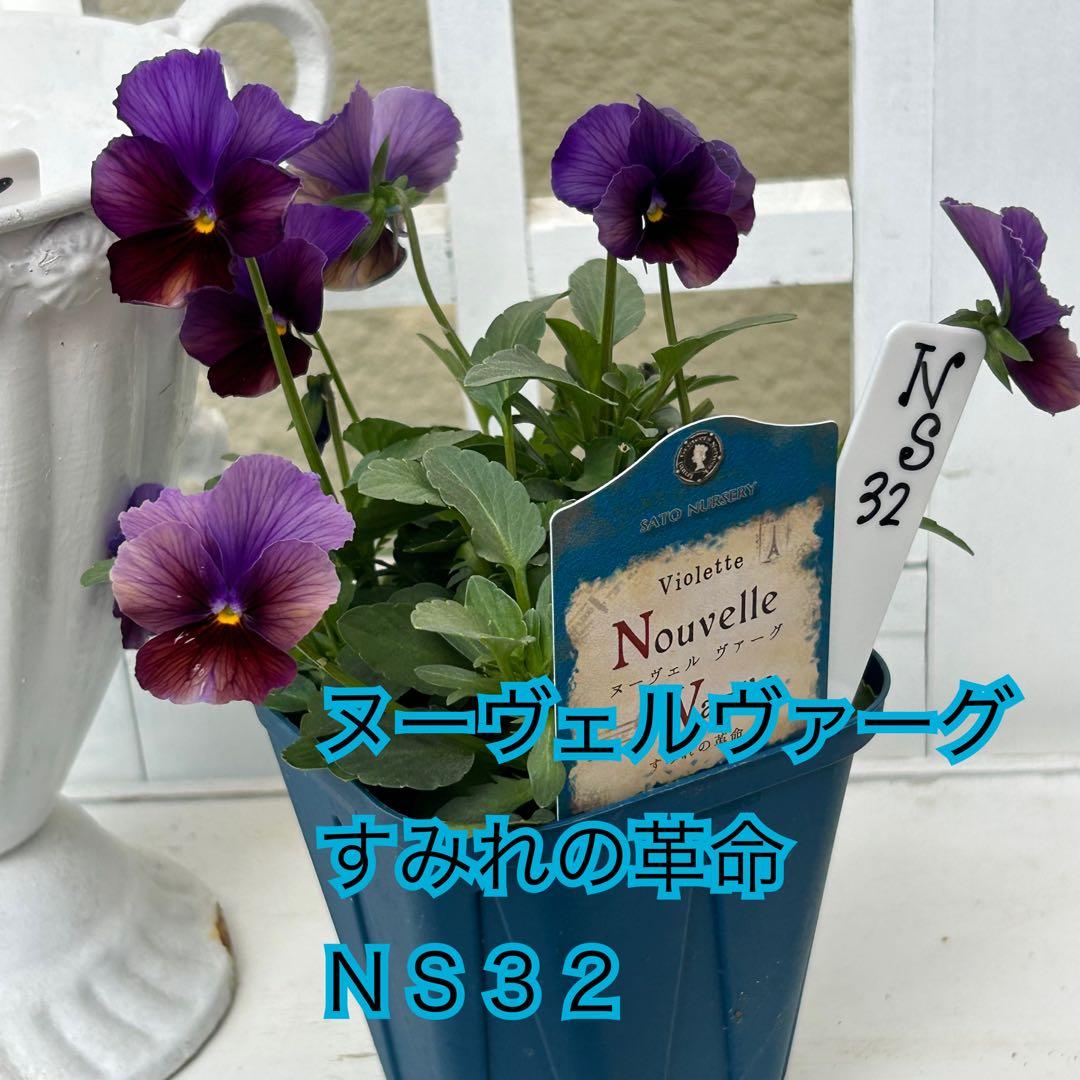 ◆◆Mieさま　ＮＳ３２♥ヌーヴェルヴァーグ　すみれの革命♥合計6ポット