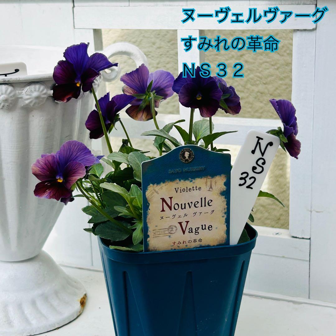 ◆◆Mieさま　ＮＳ３２♥ヌーヴェルヴァーグ　すみれの革命♥合計6ポット