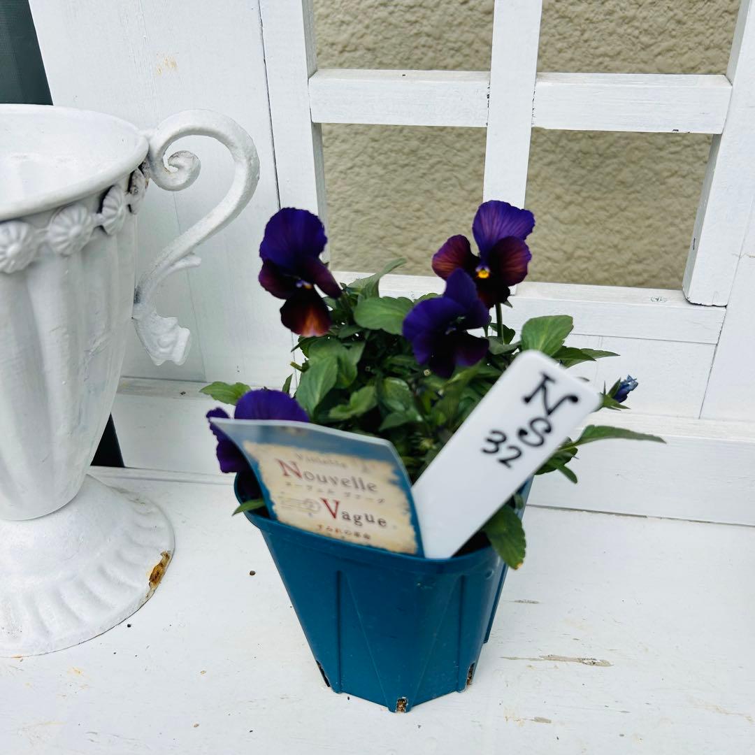 ◆◆Mieさま　ＮＳ３２♥ヌーヴェルヴァーグ　すみれの革命♥合計6ポット