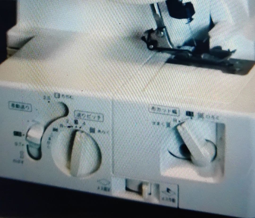 こまねこ