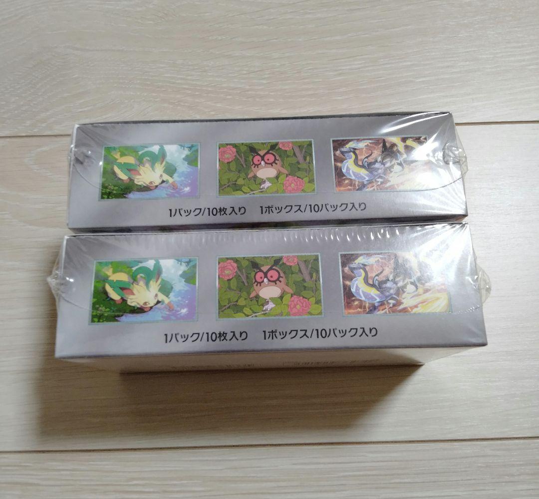 ポケモンカードゲーム テラスタルフェスex 2BOX 未開封シュリンク付き