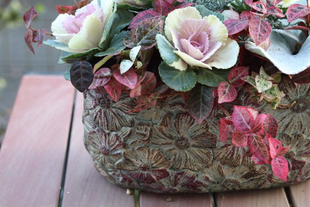 小さな寄せ植え2個セット‼️