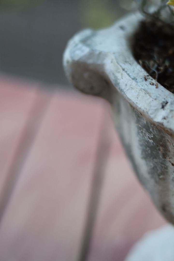 小さな寄せ植え2個セット‼️