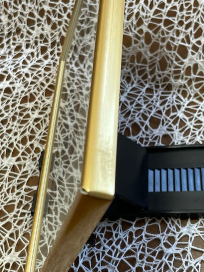 クリスチャンラッセン 額入りポスター SEA VISIONフレーム付海 イルカ