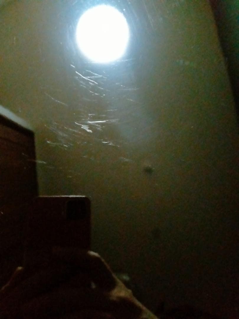 Epiphone EL-00 pro Ltd エレアコ トップ単板 エピフォン