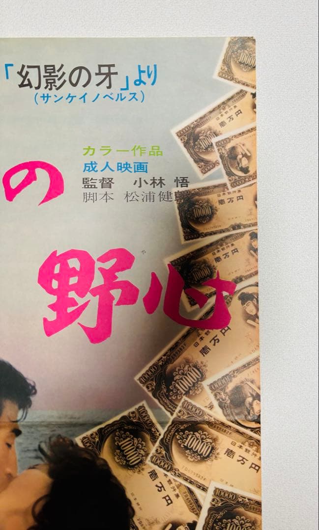 1972年 当時物 鏡の中の野心 荒木一郎 堤杏子 戸川昌子 B2サイズ