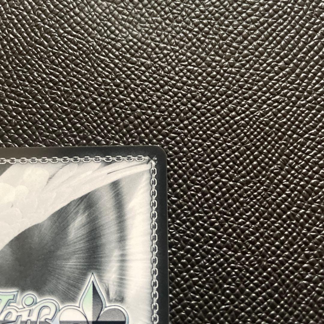 ヴァイスシュヴァルツ 勝利の女神 nikke 失楽園 ドロシー sp サイン