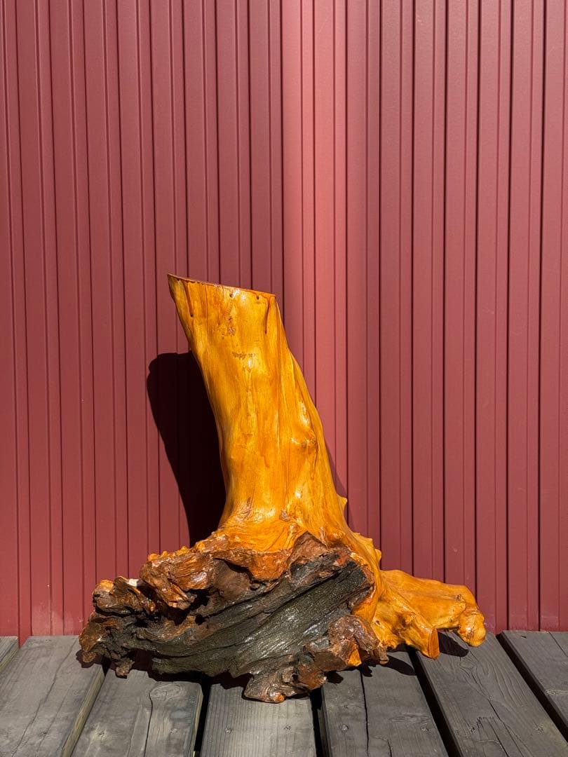 【一点もの】天然木 根流木 オブジェ 飴色仕上げ インテリア 盆栽台 置物