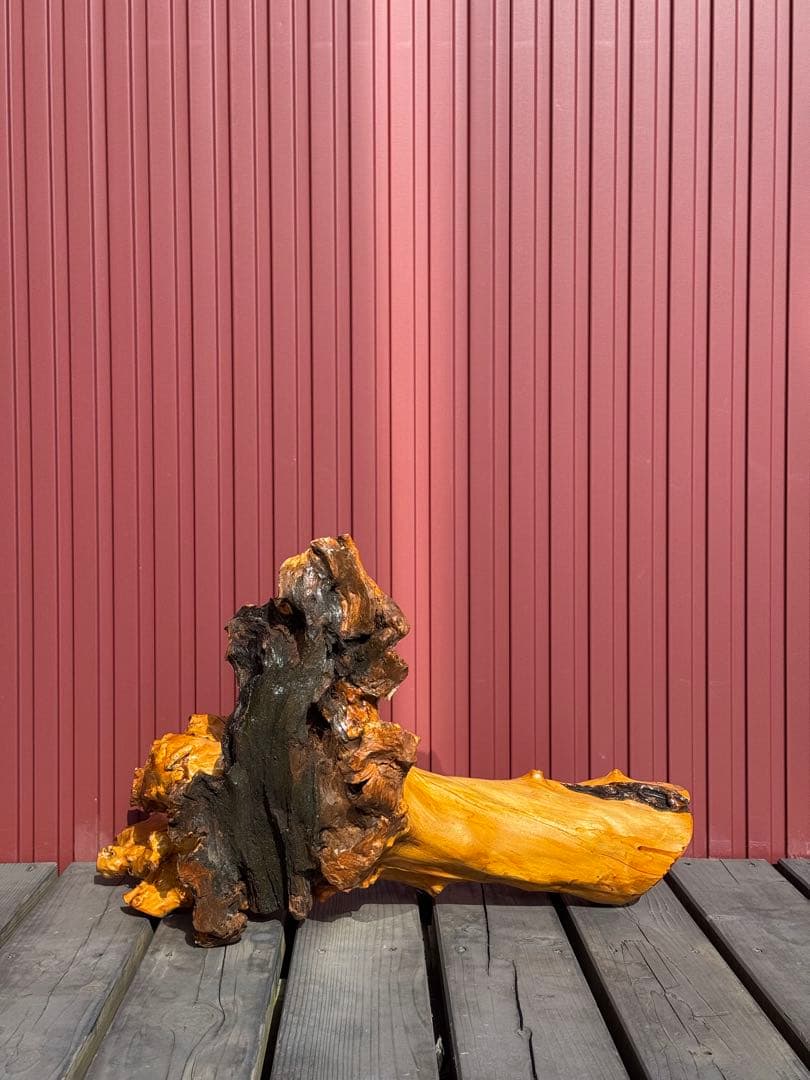 【一点もの】天然木 根流木 オブジェ 飴色仕上げ インテリア 盆栽台 置物