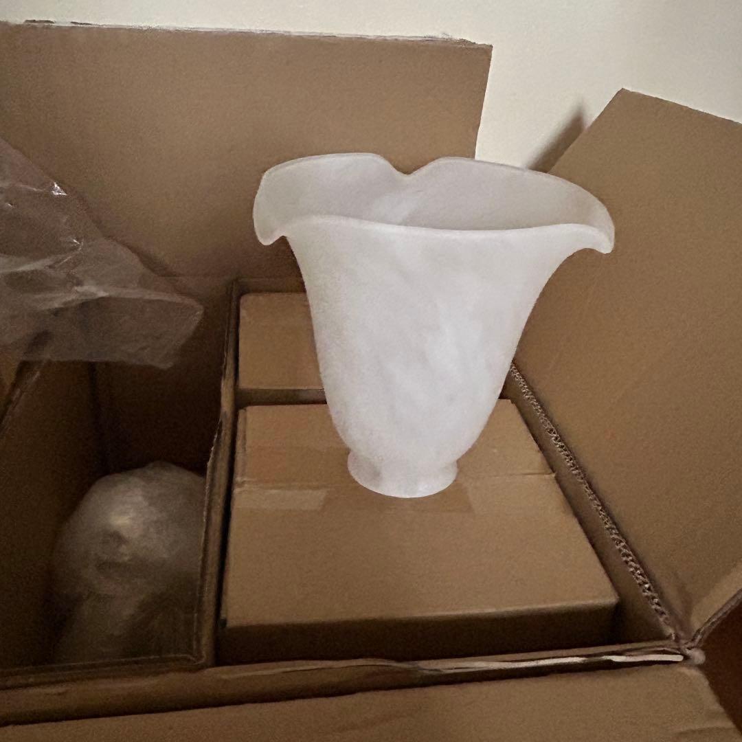 オーデリック⭐️シャンデリア