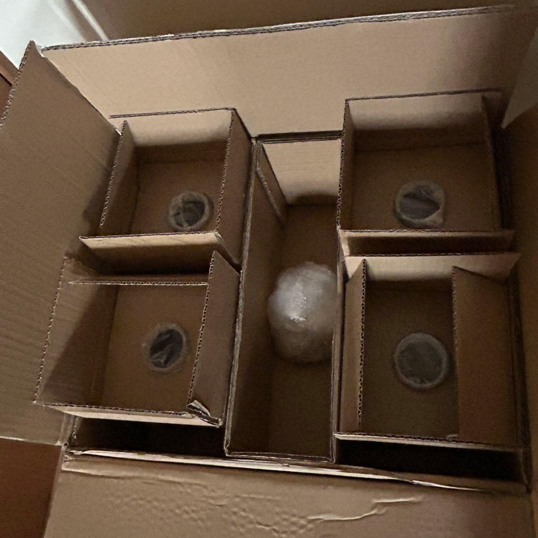 オーデリック⭐️シャンデリア