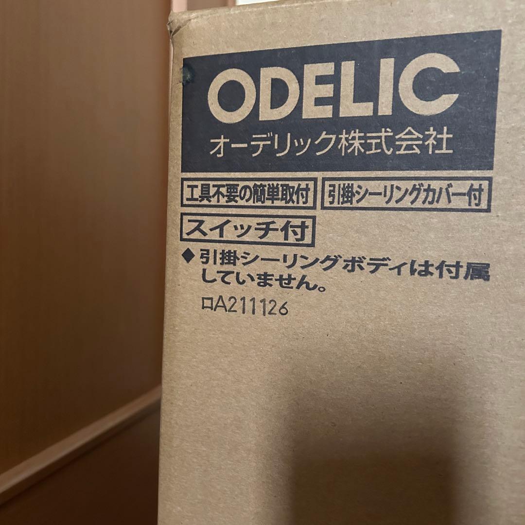 オーデリック⭐️シャンデリア