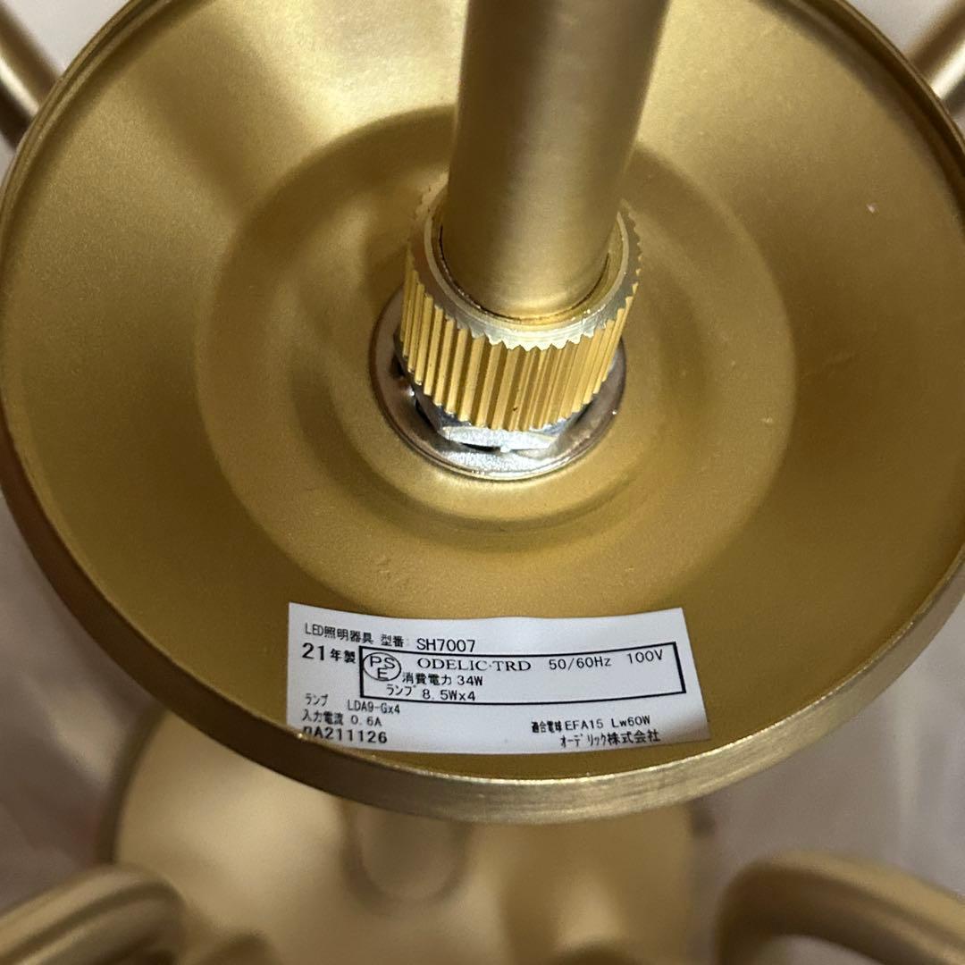 オーデリック⭐️シャンデリア