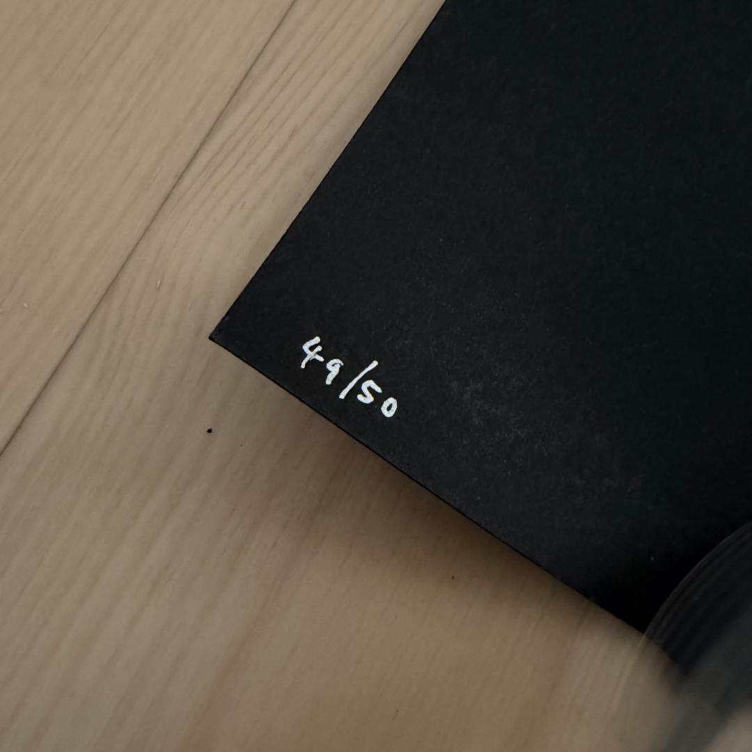 貴重 50部 Soulwax ソウルワックス 2manydjs シルクスクリーン