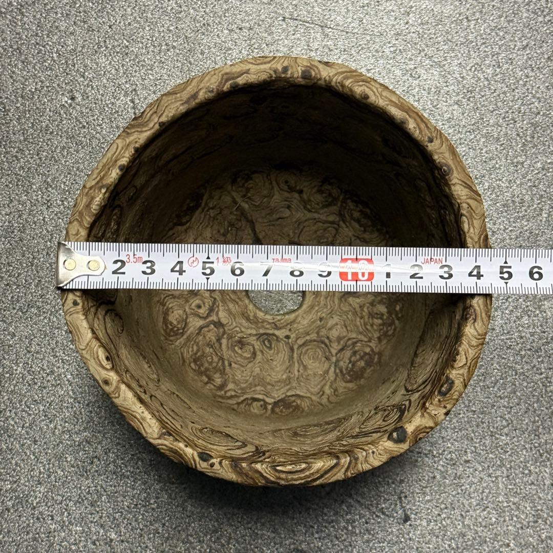 プランツモンスター plants monsters pot 大鉢(A)