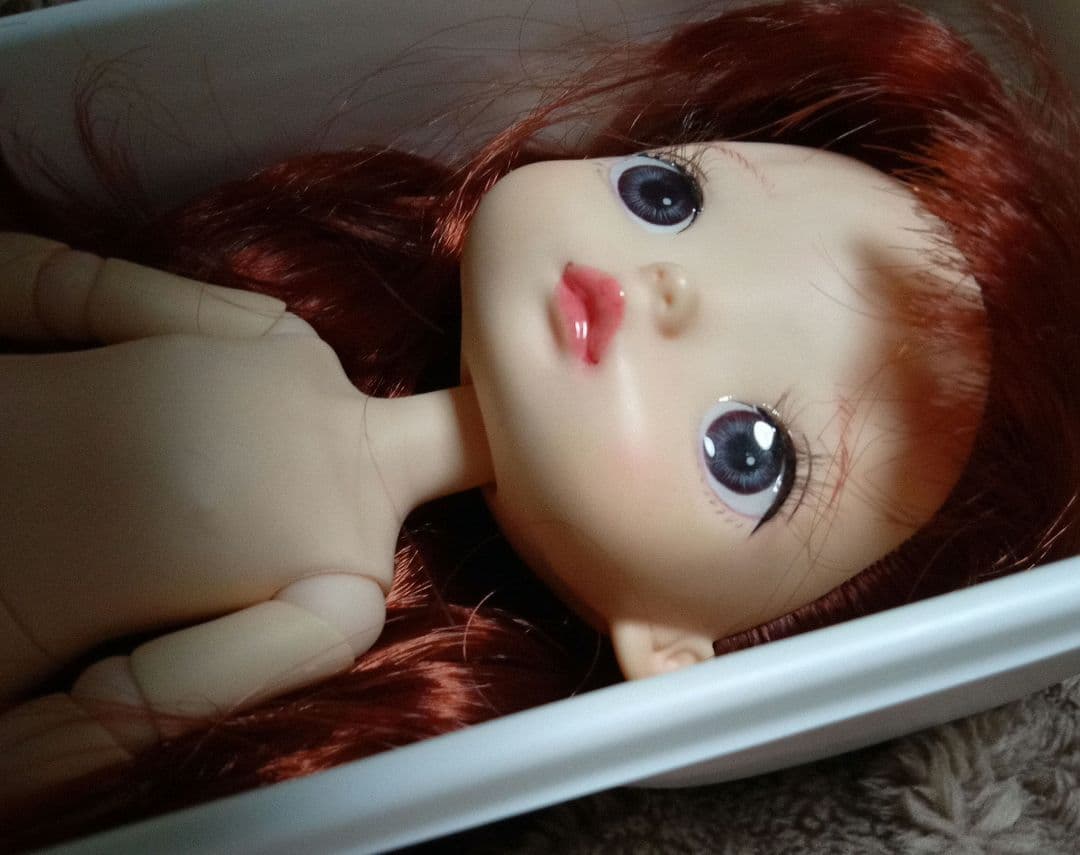 モンストドール　カスタム　衣装なし