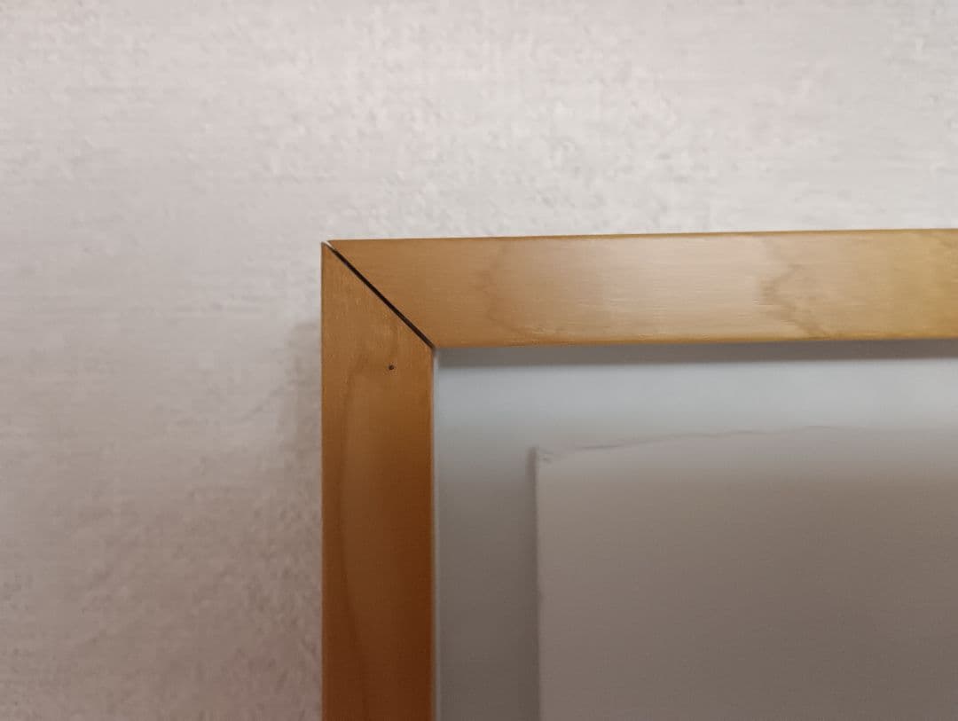 Yuan Ming Q 抽象画 版画 10/10 83✕65cm