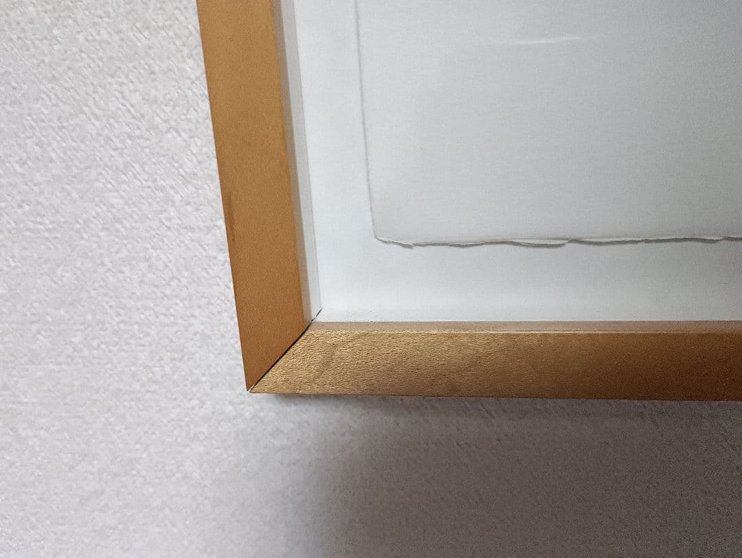 Yuan Ming Q 抽象画 版画 10/10 83✕65cm