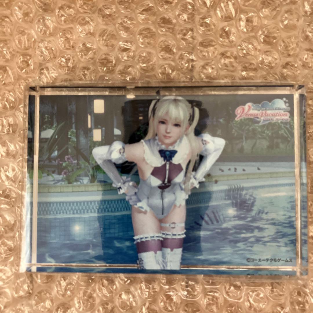 DOAXVV 透かしアクリルブロック マリーローズTC