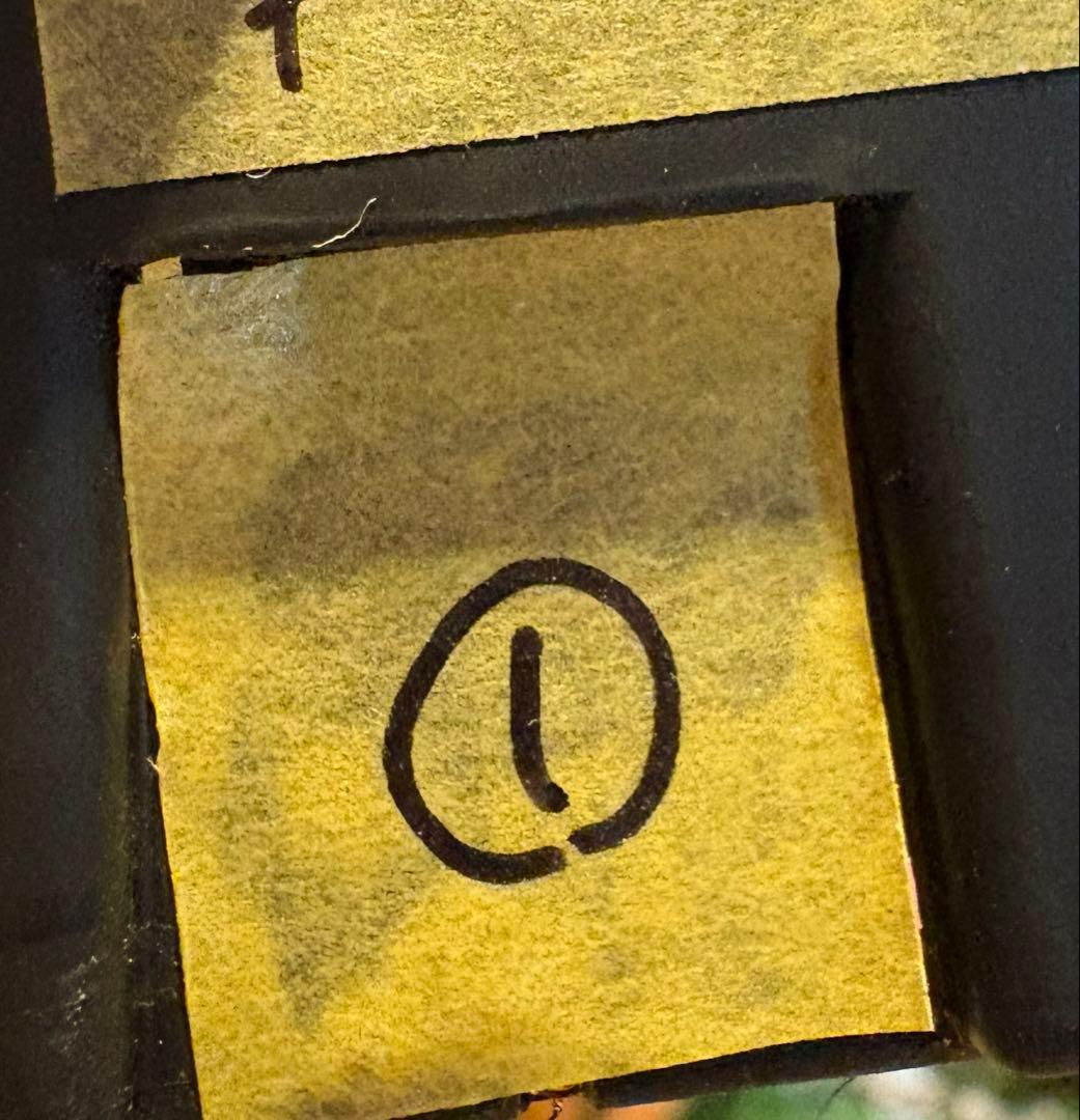 クラッスラ　ウンベラ　ワインカップ　①