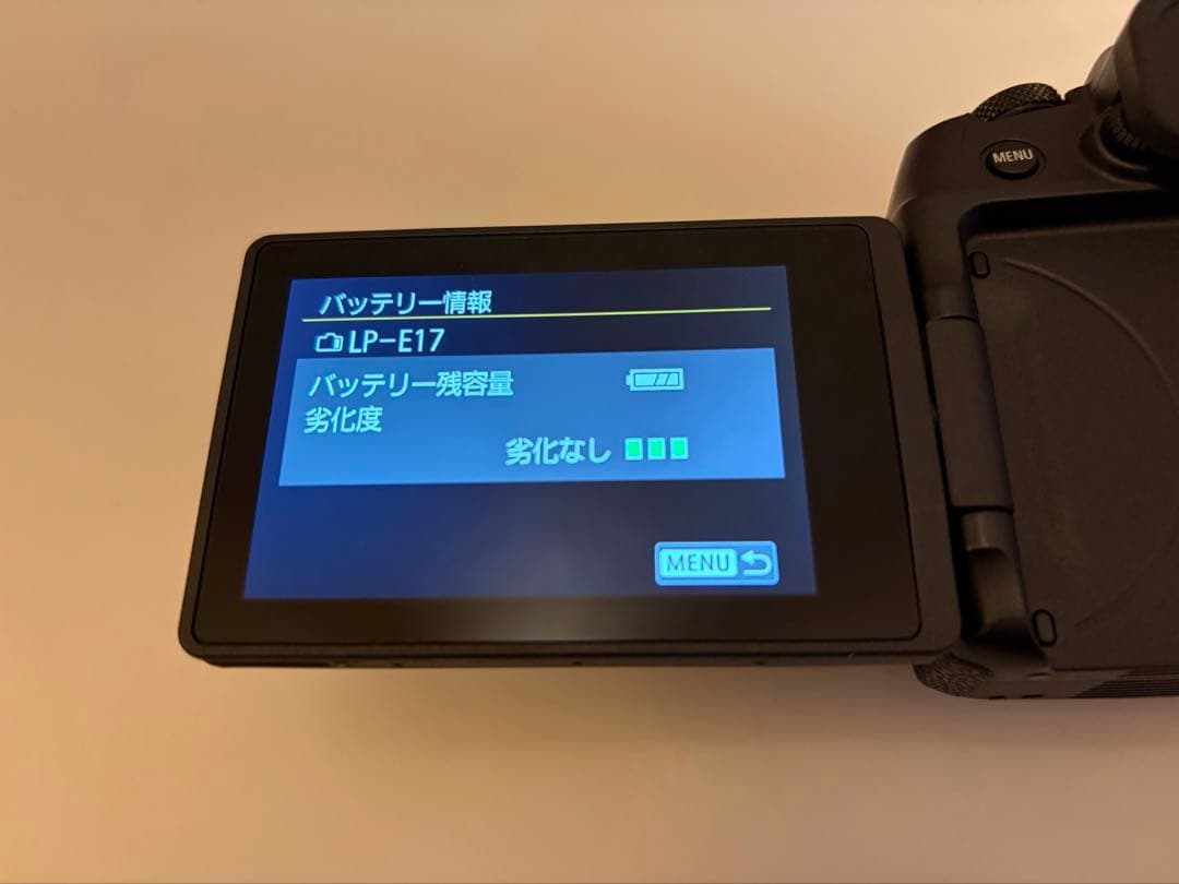 Canon EOS RP ※バッテリー2つ付き(LP-E17)