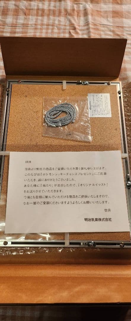 極希少　ポケモン　明治乳業　リザードン　アートパネル　セル画　激レア