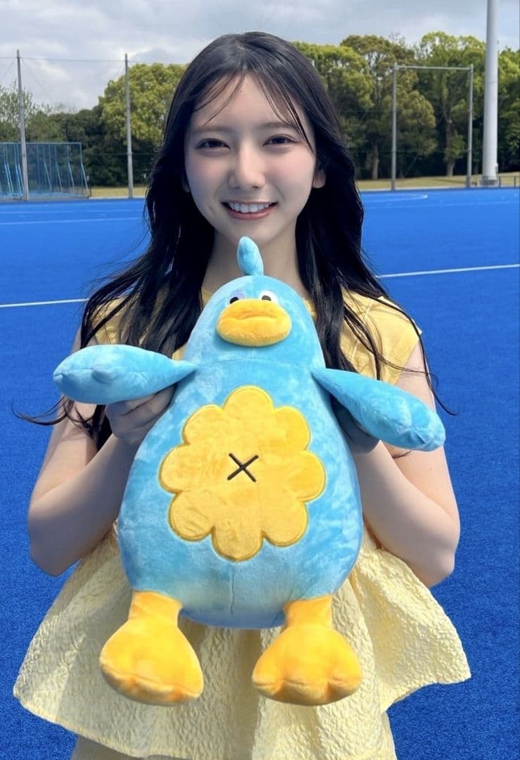 【中サイズ】日向坂46 ポカ ぬいぐるみ 初代 ver